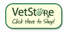 Our Store
